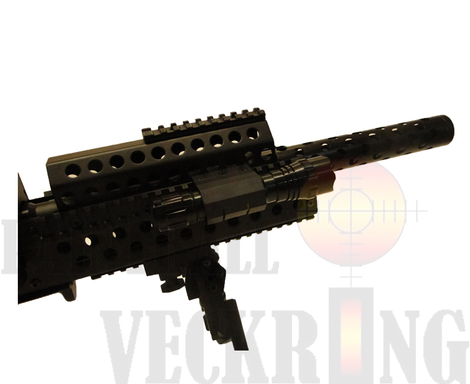 1st image description