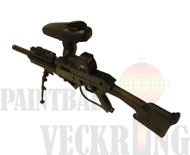 1st image description